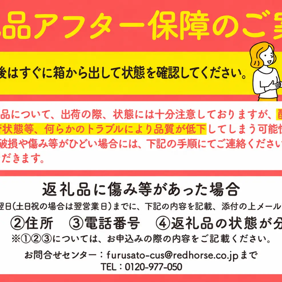 りんご あいかの香り 約3kg セット 2026年 令和8年度発送分 リンゴ 林檎 長野 フルーツ 果物 信州産 長野県産 特産 産地直送 おすすめ