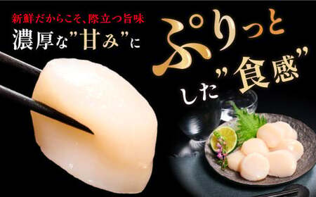 オホーツク産お刺身用ホタテ大サイズ（3S）【750g（250g×3）】_K022-0714