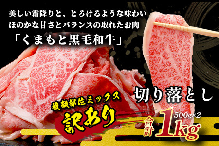 【訳あり】くまもと黒毛和牛 切り落とし 1kg 113-0551