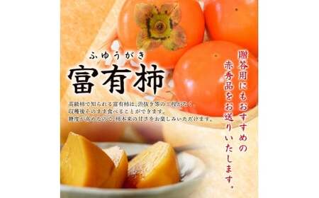 先行予約 富有柿 赤秀品大玉6個～8個入 こだわり農家厳選【2026年10月末から11月末頃順次発送】 / 柿 フルーツ 果物 かき 和歌山 かつらぎ 農家直送 贈答【kgr043】