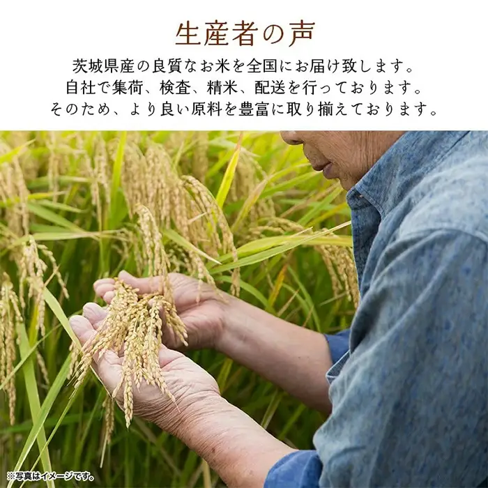 736 茨城県産 こしひかり 米 20kg (5kg×4袋)【石崎商店】