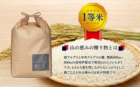 【令和8年産】３ヶ月連続お届け 定期便 信州産 コシヒカリ 1等米 「山の恵みの贈り物」 5kg 計15kg （ お米 コシヒカリ 白米 搗きたて米 低温貯蔵米 食品 ) 長野県　箕輪町 