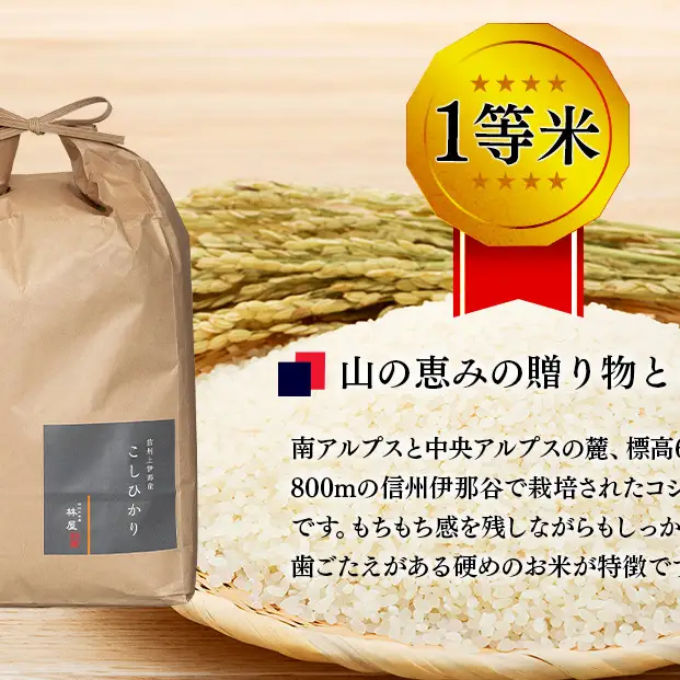 【令和8年度】６ヶ月連続お届け 定期便 信州産 コシヒカリ 1等米 「山の恵みの贈り物」　5kg　計30kg （ お米 コシヒカリ 白米 搗きたて米 低温貯蔵米 食品 ) 