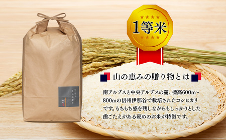 【令和7年産】信州産 コシヒカリ 1等米 「山の恵みの贈り物」 20kg（10kg×2袋） （ お米 コシヒカリ 白米 搗きたて米 低温貯蔵米 食品 ) 長野県　箕輪町