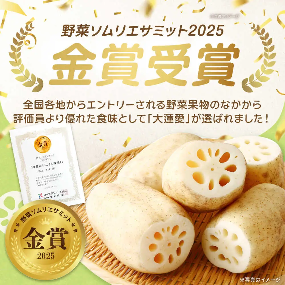 泥付きれんこん 大蓮愛 3kg 池上ファーム れんこん 先行予約 2026年11月～発送  [IDN001]