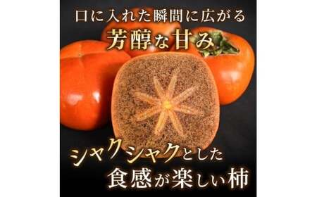 先行予約！ 紀の川柿 （果実の中身が黒い！黒蜜柿）希少栽培！ 秀品６個～９個 こだわり農家厳選！【※2026年10月上旬から11月上旬頃発送】/ 和歌山県 かつらぎ町 カキ 柿 太秋柿 紀ノ川柿 富有柿 早秋柿 秀品 紀の川柿 かき フルーツ 旬 秋【kgr044】 