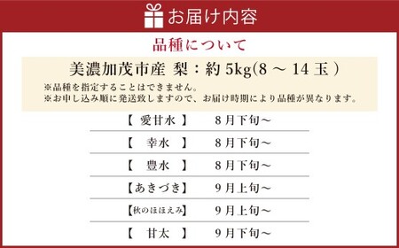 《先行予約》 山之上の梨 （ 品種はおまかせ ） 約5kg （ 8～14玉 ） 【2026年8月下旬～10月上旬発送予定】