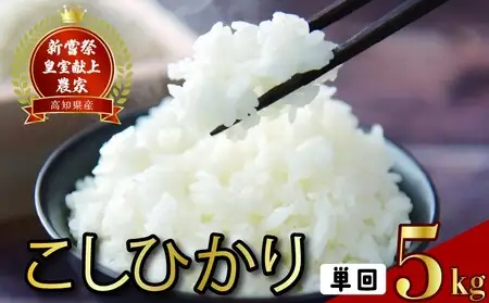 【ふるなびWEEK対象】こしひかり 米 5kg 令和8年産【こしひかり】