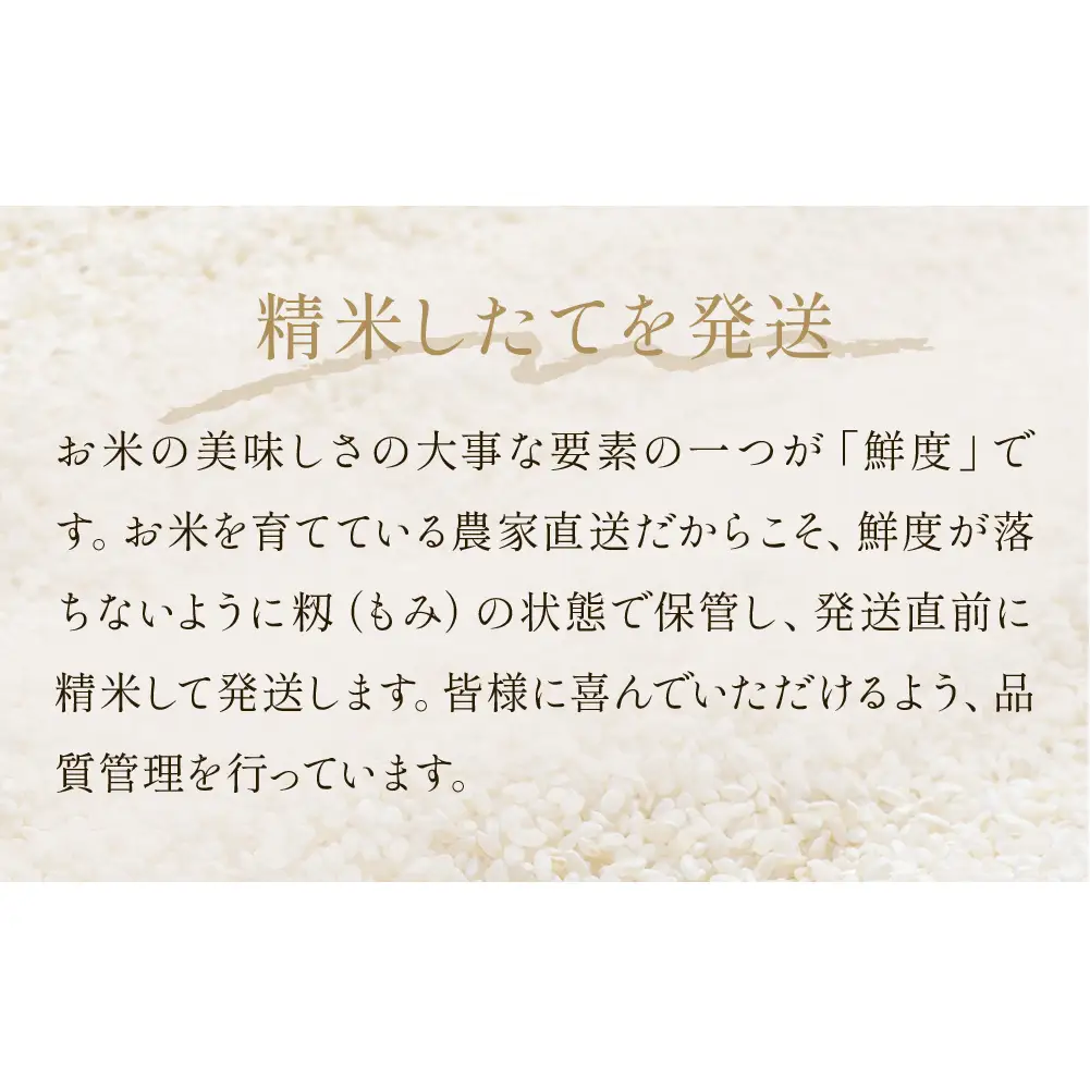令和7年産 ササニシキ 精米 10kg（5kg×2）単品