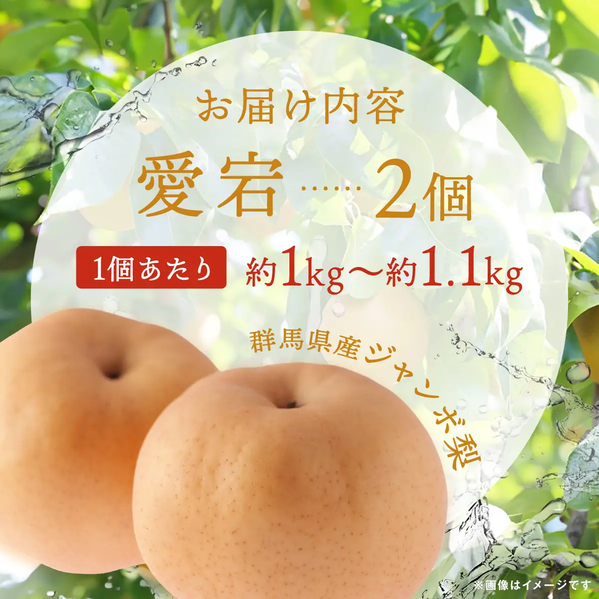 【先行予約】群馬県産ジャンボ梨「愛宕」2個(1個あたり約1.0～1.1kg)【11月中旬～12月下旬発送予定】 ANAH001