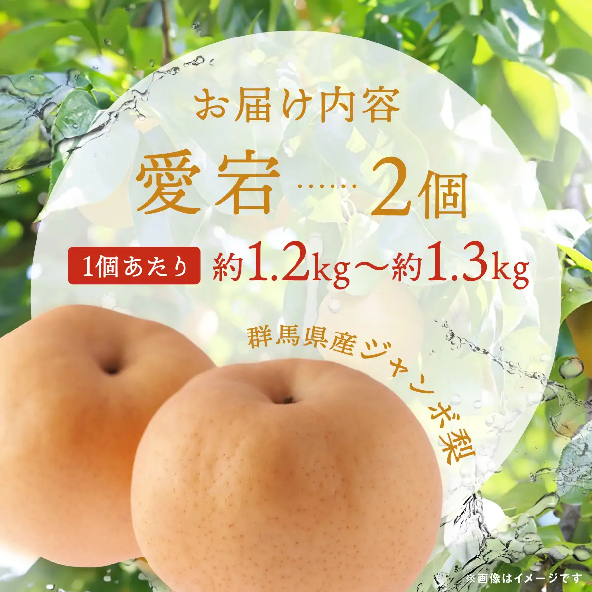 【先行予約】群馬県産ジャンボ梨「愛宕」2個(1個あたり約1.2～1.3Kg)【11月中旬～12月下旬発送予定】 ANAH002
