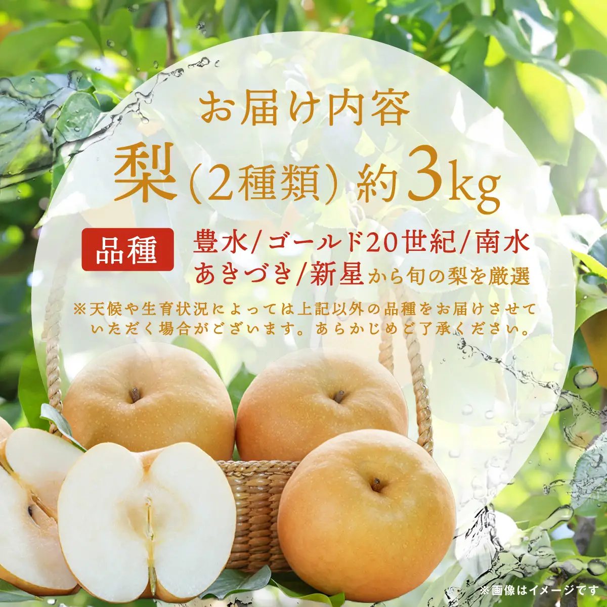 【先行予約】【品種おまかせ】群馬県産「梨」(2種類)約3kg【9月中旬～9月下旬発送予定(9/20～26除く)】 ANAH003
