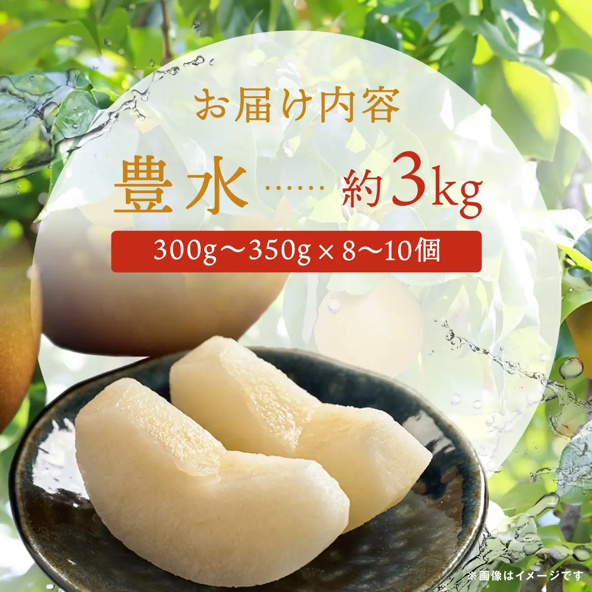 【先行予約】群馬県産梨「豊水」約3kg(8～10個)【9月上旬～9月中旬発送予定】ANAH005