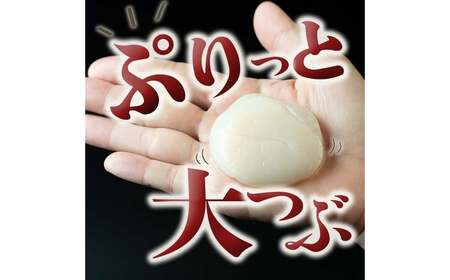 青森県産 冷凍帆立貝柱 (玉冷)  1kg 【ハケタ水産】 F21J-272