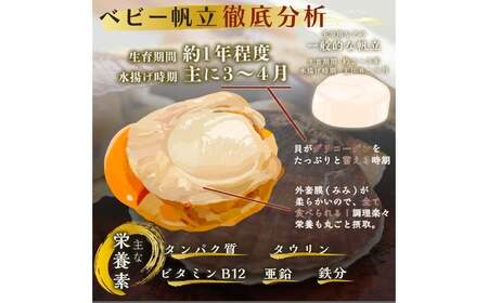 青森県産 冷凍帆立貝柱（玉冷）1kg ＆ 冷凍ベビー帆立（小）1kg 2種セット （合計2kg） 【ハケタ水産】 F21J-231