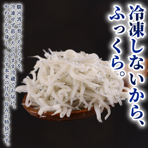 【国産 釜揚げしらす】釜揚げしらす 4パック マルカ名波 静岡県  牧之原市