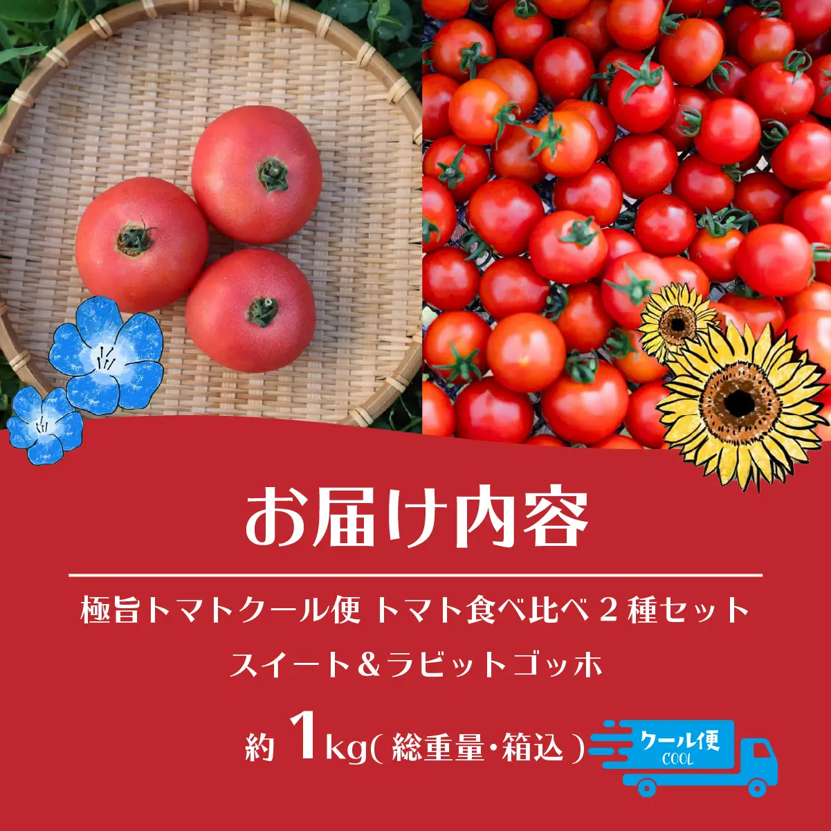 【2026年7～10月限定発送】極旨トマトクール便 食べ比べ2種セット 北海道壮瞥町産 スイート＆ラビットゴッホ 1kg 中玉トマト SBTAJ026