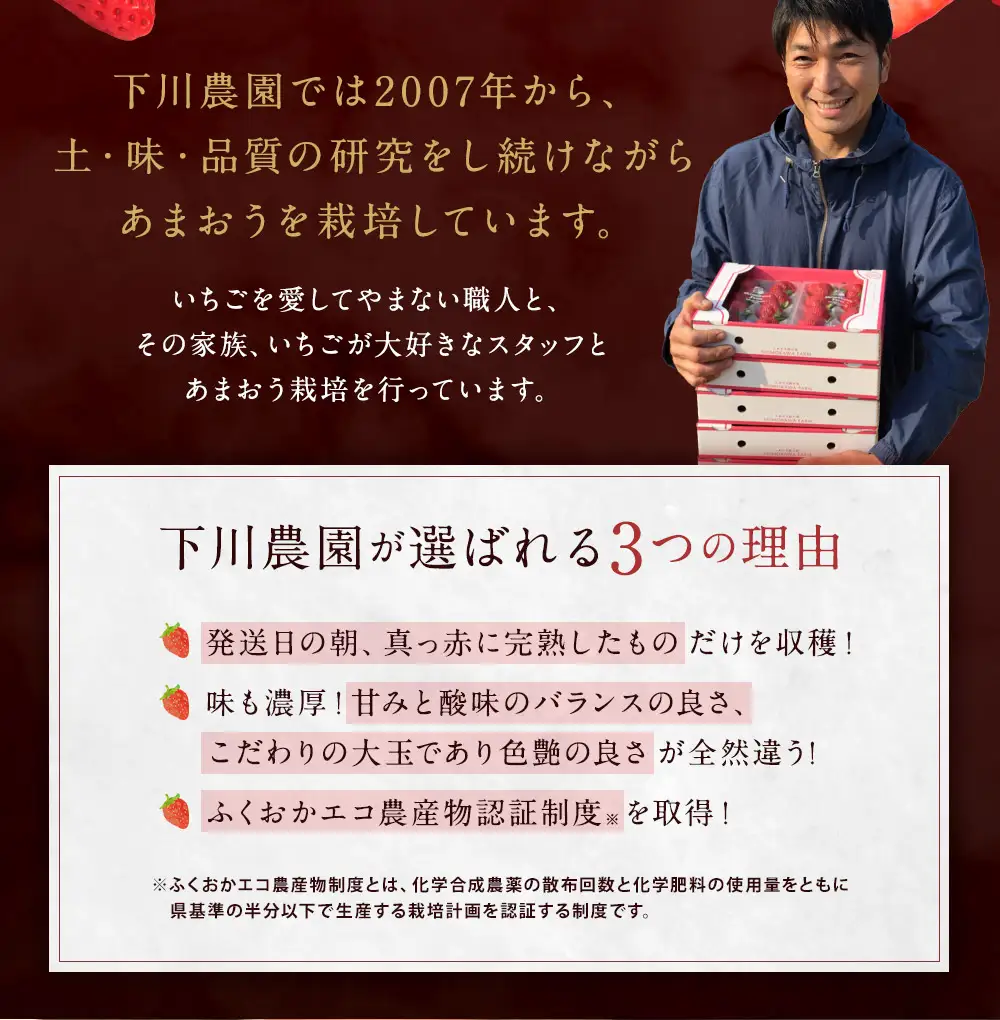 特別栽培 の 濃厚 完熟 あまおう 約1kg 約250g×4パック 【2026年12月上旬～4月下旬まで発送予定】 いちご 苺 果物 フルーツ