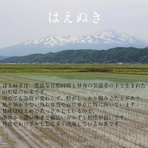 SB1026　令和7年産【白米】はえぬき　10kg(5kg×2袋) YA