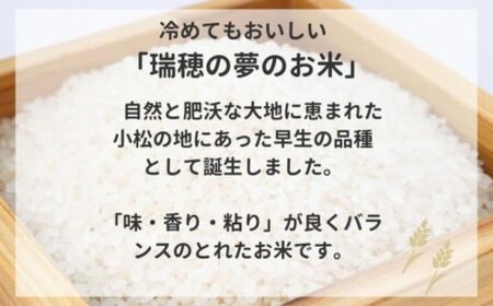 【先行予約】こしひかり 令和8年産 小松市産 ゆめみづほ 精米 5kg 米 小松市産こしひかり 石川県【JA小松市】