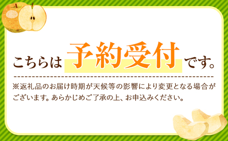 くまもと梨 約5kg 梨 熊本県産　《8月下旬-11月中旬頃出荷予定》