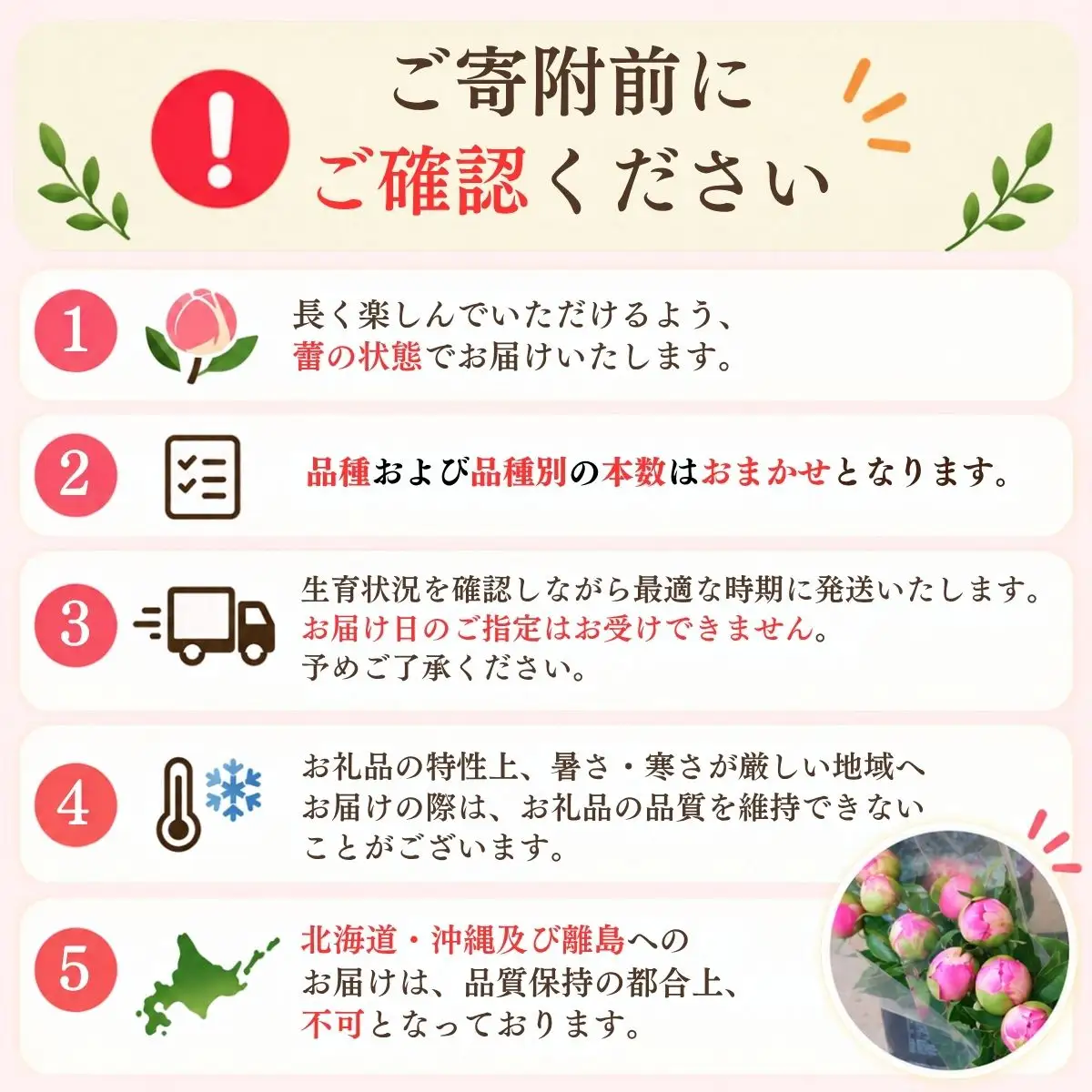 【先行予約】芍薬 切花 おまかせ2〜3品種 25本セット | 木内ファーム