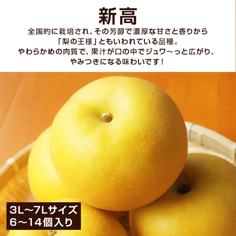 新高 梨 3kg 柴沼梨園の梨 BX-023