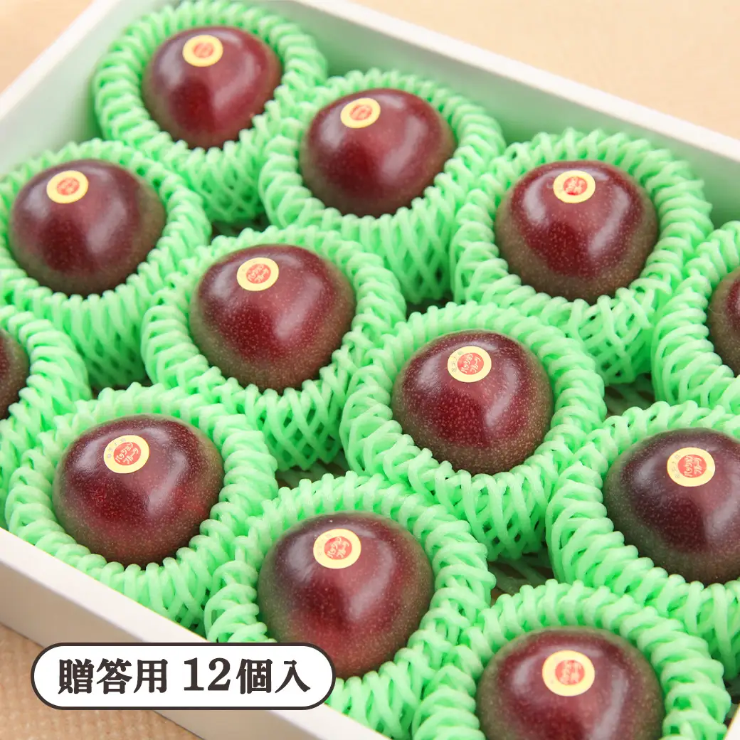 パッションフルーツ 贈答用 (12個入×1箱) 【7月～9月頃出荷開始】 リリコイ 果物 フルーツ デザート 人気 南国 デザート 奄美大島 宇検村 鹿児島 滝の園