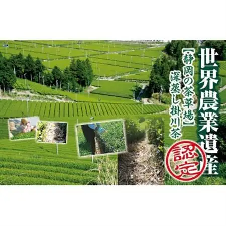 全国初の快挙!日本三大品評会 農林水産大臣賞受賞 三冠茶園 深蒸し掛川茶 200g×8袋【配送不可地域：離島・沖縄県】【1662319】