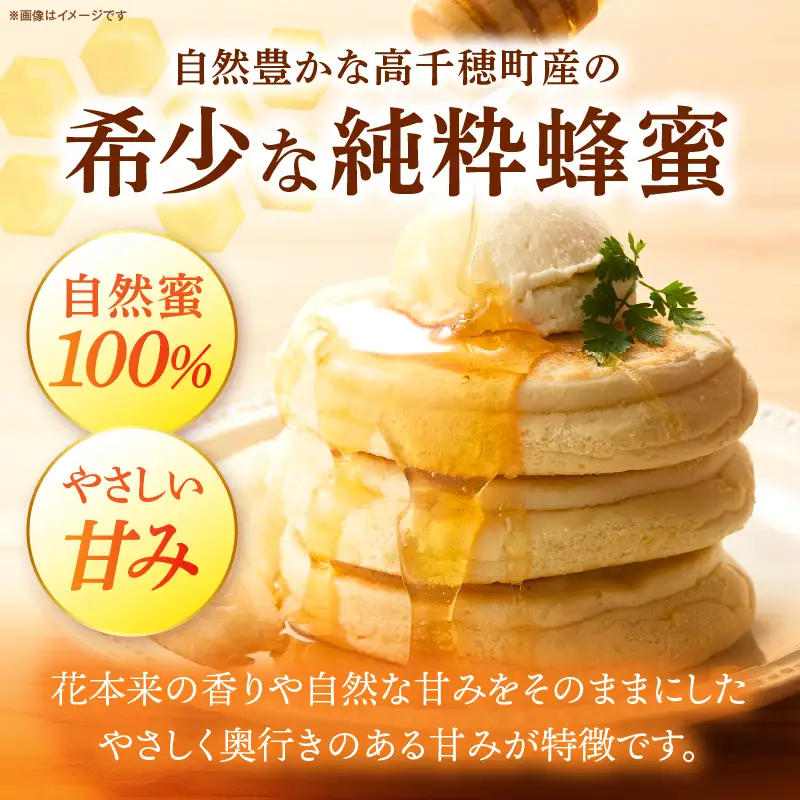 日本みつばち 高千穂の純粋蜂蜜 75g×3本|蜂蜜 はちみつ 日本みつばち 純粋蜂蜜 国産蜂蜜 天然蜂蜜 垂れ蜜 蜜蜂 希少 蜂蜜 濃厚 花 伝統製法 特産品 ふるさと納税 返礼品 宮崎県 高千穂町 | _Tk005-099-0753