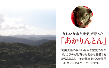 奄美 クラフトビール ＜ 5種 ＞ ビアカップ 受賞 5本セット と 奄美島豚 あかりんとんソーセージ （ 6本 ）【 通常箱 】 A126-013-02 ビール 酒 ソーセージ 肉