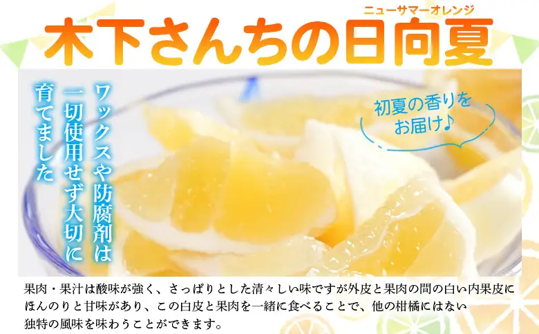＜木下さんちのニューサマーオレンジ 訳あり 約10kg（大中小サイズ混み）＞ 柑橘類 日向夏 ミカン 蜜柑 果物 くだもの フルーツ 国産 特産品 木下農園 愛媛県 西予市【常温】『2027年4月上旬～5月中旬に順次出荷』MKS0008