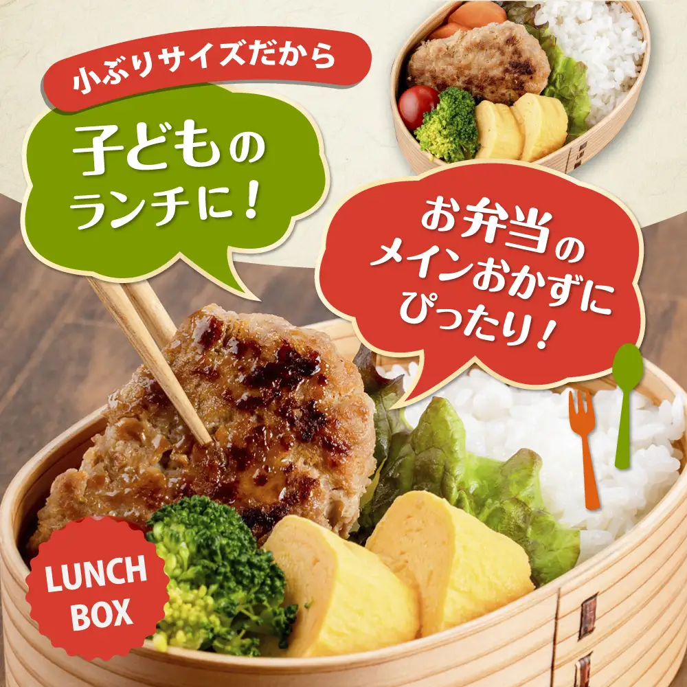 国産豚肉使用 手づくりハンバーグ 10個[AKFH045] ハンバーグ