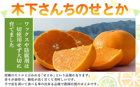 ＜木下さんちのせとか 訳あり 約3kg（S～3L大中小混み）＞ 訳アリ 家庭用 自宅用 柑橘 ミカン みかん 蜜柑 果物 くだもの フルーツ 国産 特産品 木下農園 愛媛県 西予市【常温】『2027年2月下旬～3月下旬に順次出荷』MKS0010