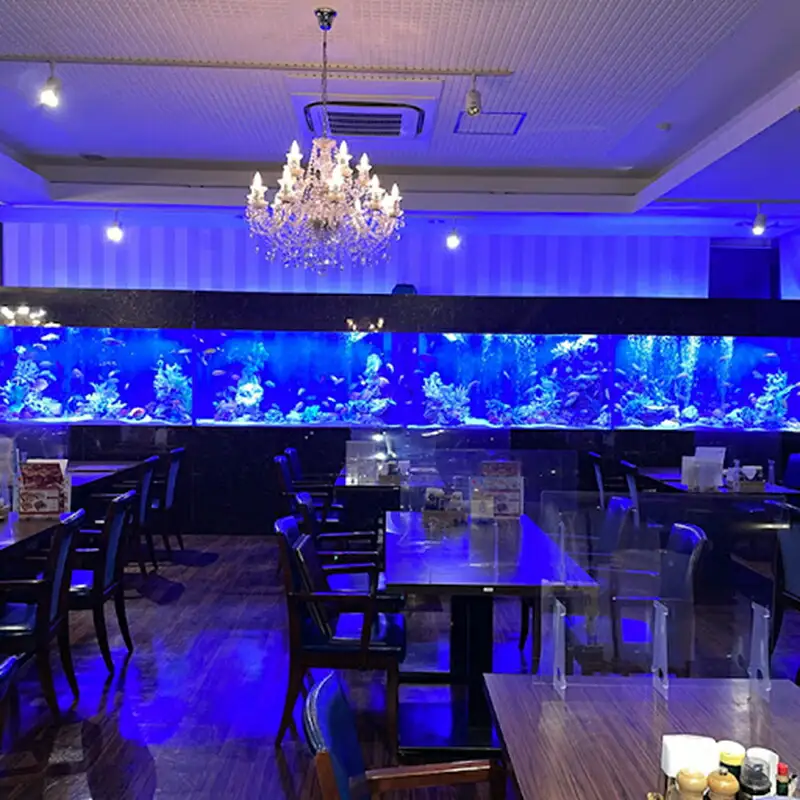 レストランメヒコアクアワールド特別ご優待券3000円分【 お食事券 茨城県 日立市 】