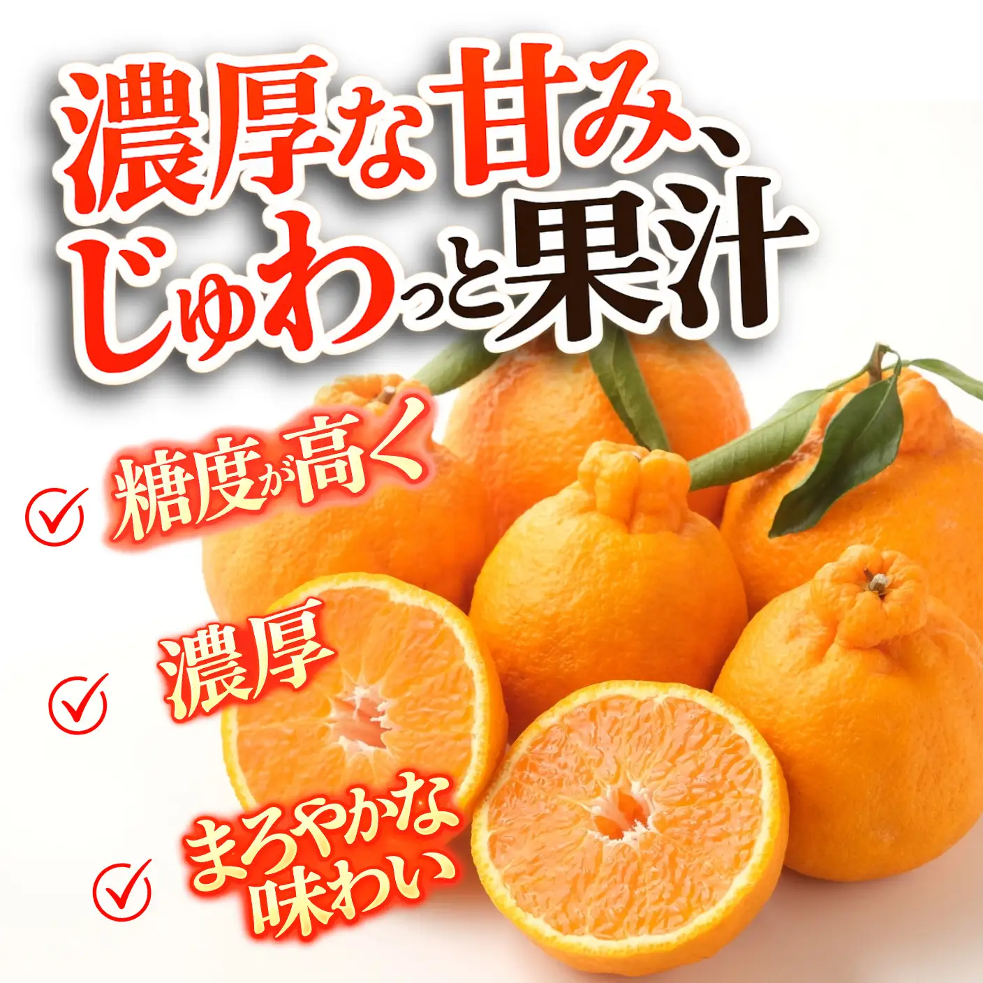 【2月上旬より順次発送】デコポン 訳あり 3kg 柑橘 デコポン