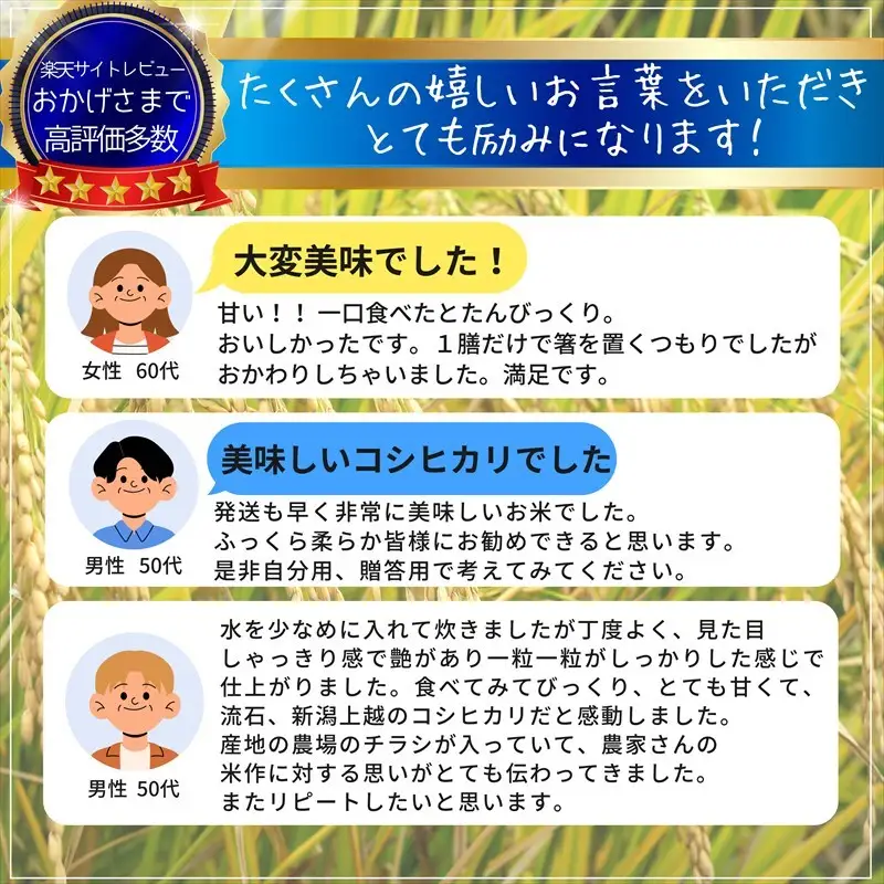 【先行予約】【12月中旬配送】篠宮農場 コシヒカリ 精米 コシヒカリ 10kg