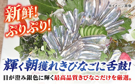 朝獲れきびなご刺身セット(きびなご丸ごと16尾パック×5、きびなご手引刺身16尾パック×5） 五島市/有限会社心誠[PCG018]