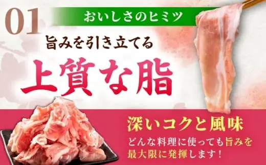 肥前さくらポーク 切り落とし 500g × 2パック 計 1kg 切り落とし 豚 豚肉 吉野ヶ里町/上場食肉[FDQ006]