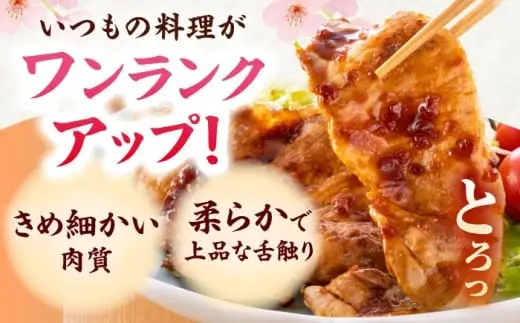 肥前さくらポーク 切り落とし 500g × 10パック 計 5kg 切り落とし 豚 豚肉 大容量 吉野ヶ里町/上場食肉[FDQ008]