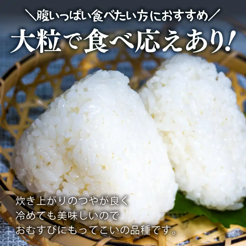 【先行予約】【令和8年産】化学肥料不使用 虹のきらめき精米4kg(真空パック1kg×4袋) ※2026年9月下旬以降順次発送 [aw010-a076]