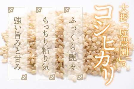【先行予約】【令和8年産 新米】【3ヶ月定期便】【玄米】越前大野産 エコファーマー認定農家栽培こしひかり 玄米 5kg × 3回 計15kg 【2026年10月より順次発送】