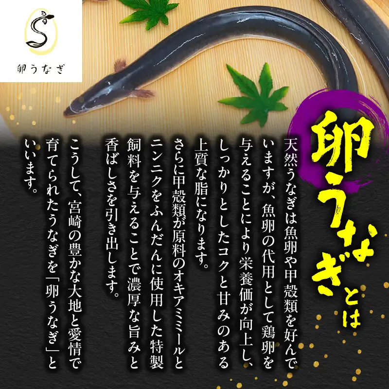 【 全6回 定期便 】九州産 卵うなぎ 備長炭手焼 うなぎ カット 蒲焼 パック 計1kg（10袋） KN029-T03-02 鰻 魚 冷凍