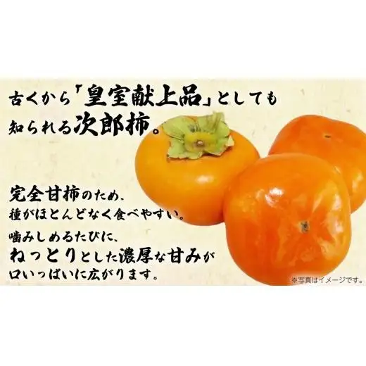 次郎柿 3kg 【2026年9月上旬発送開始】(茨城県共通返礼品：大子町)