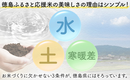 【先行予約】白米 徳島ふるさと応援米 5kg 米