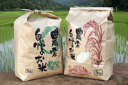 【令和７年産】コシヒカリ（精米）5kg B08-004