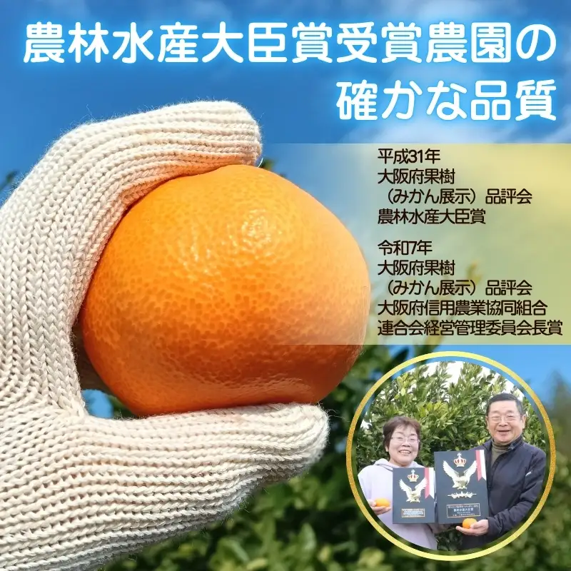 先行予約 2026年11月下旬より発送 【 農林水産大臣賞受賞 】 甘さが違う極上みかん 5kg 