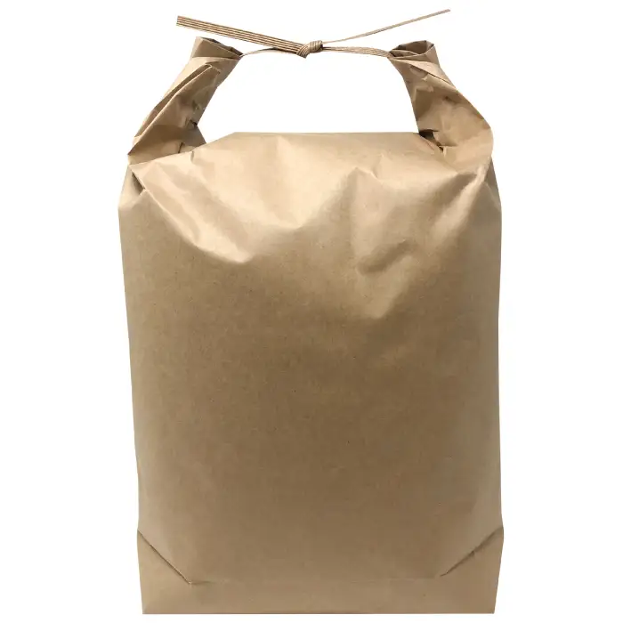 大山の一粒 玄米 5kg【玄米 5kg 5キロ こめ コメ げんまい ゲンマイ 先行予約 お米 こしひかり コシヒカリ ごはん ライス 国産 お取り寄せ 鳥取県 大山町】