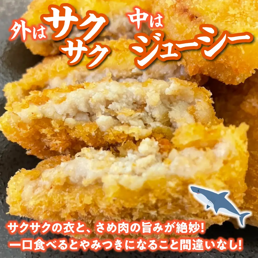 フライ ワニフライ 24個 [APAD012] 