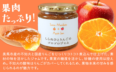 しらぬひとりんごのゴロゴロジャム 1個 (1個250g) ジャム
